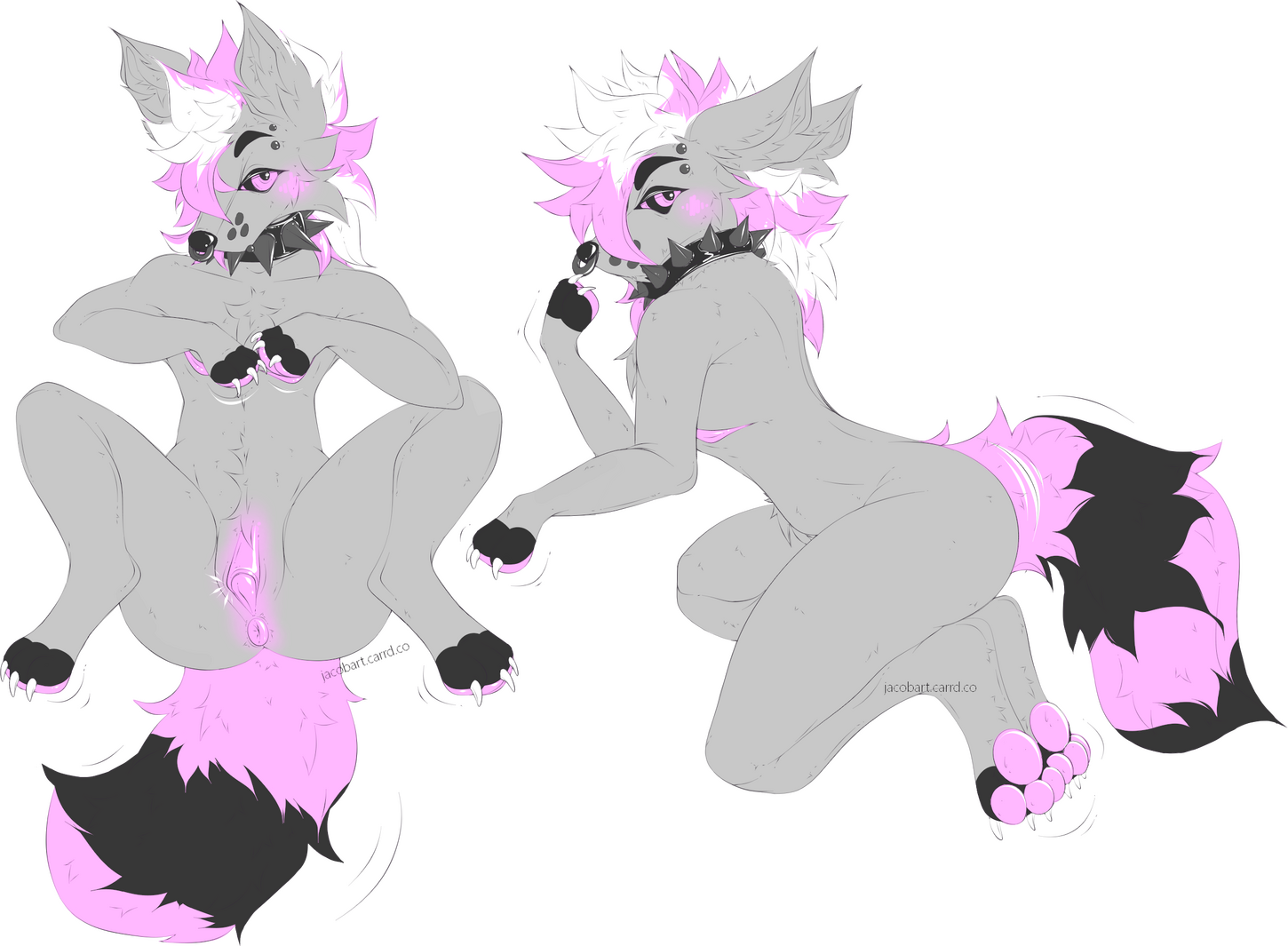 No Shading