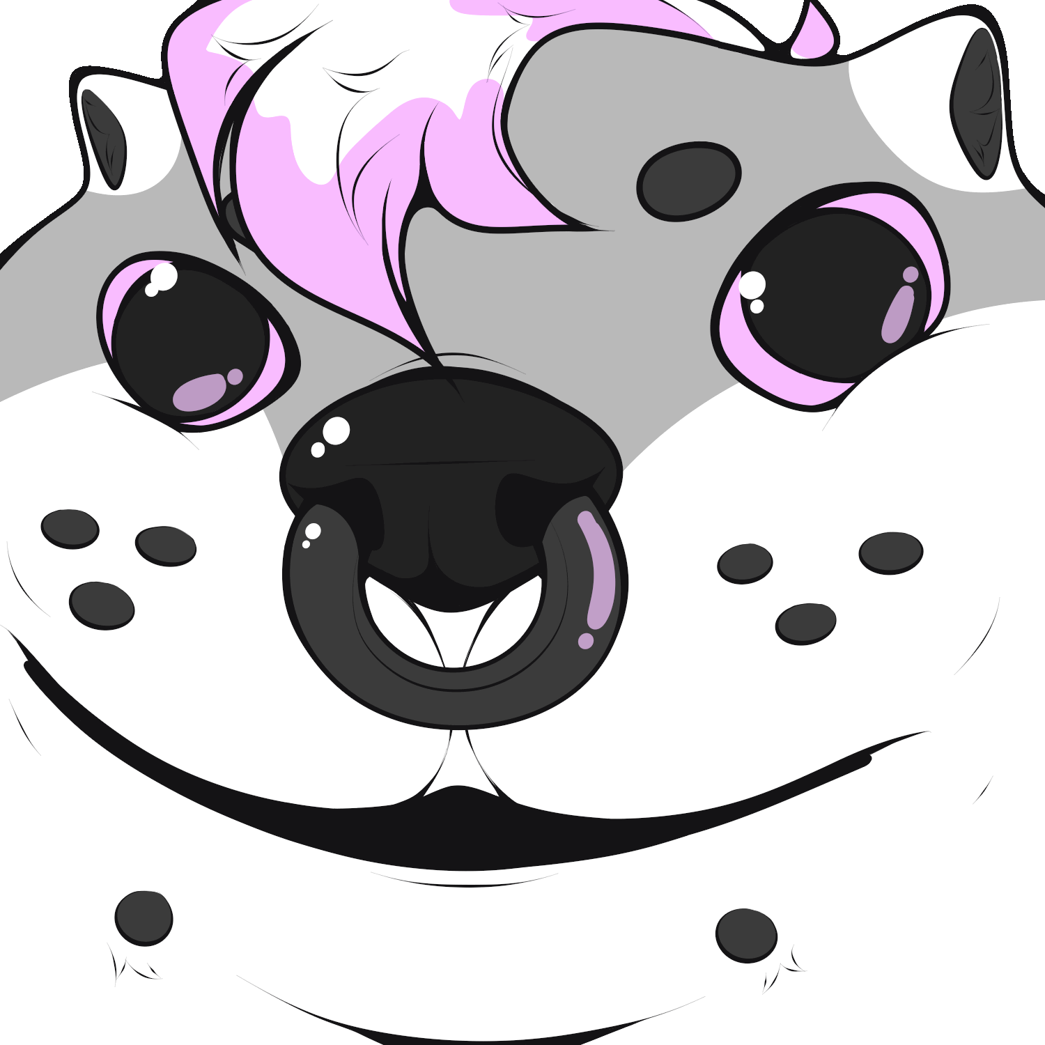 No Shading + Anim.
