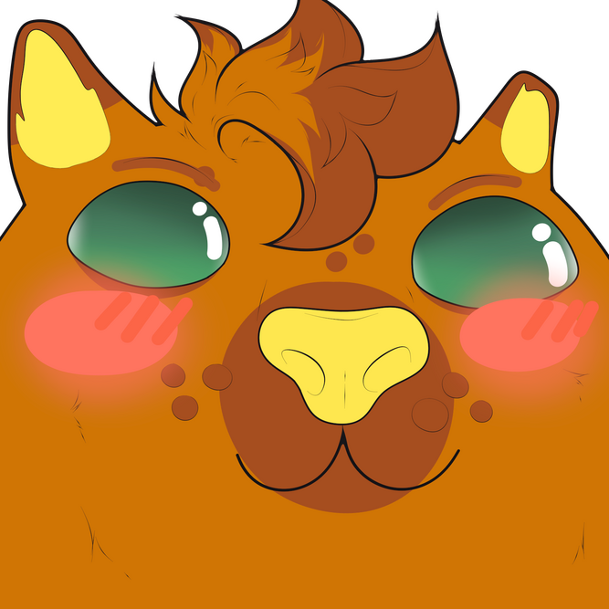 No Shading