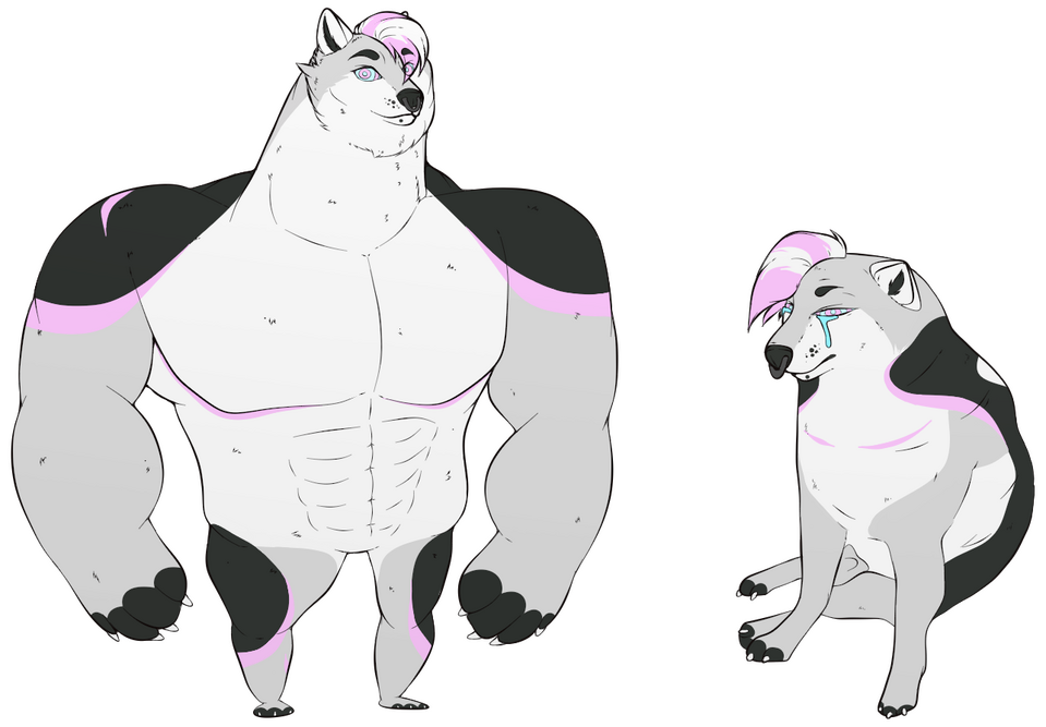 No Shading